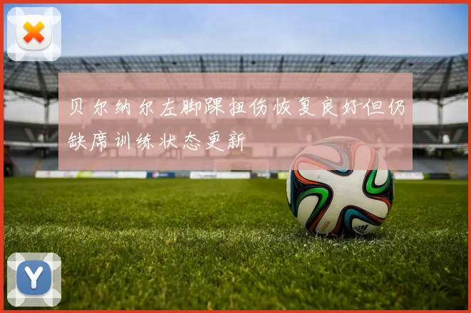 贝尔纳尔左脚踝扭伤恢复良好但仍缺席训练状态更新